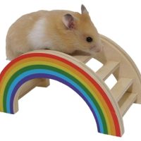 Rosewood Regenboog Speelbrug