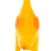 Martin Latex Kip