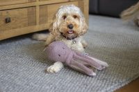 Rosewood Tufflove Octopus - Afbeelding 4