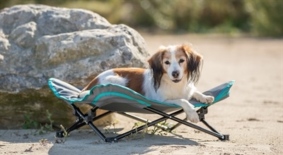 Trixie Stretcher Voor Hond Donkergrijs / Petrol - Afbeelding 8