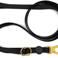 Morso Hondenriem Verstelbaar Gerecycled Gold Caviar Goud