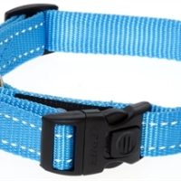 Rogz For Dogs Fanbelt Halsband Turquoise