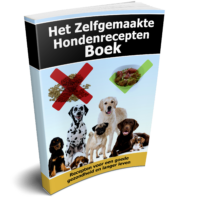 Zelfgemaakte Hondenrecepten