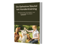 De Geheime Sleutel tot Hondentraining (Bundle)